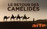 Poster of The return of the camelids